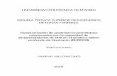 UNIVERSIDAD POLITÉCNICA DE MADRID ESCUELA …oa.upm.es/38071/1/LAURA_MARIA_VALLE_FALCONES.pdf · almacenamiento de CO2 en el acuífero salino profundo de Hontomín (BURGOS) TESIS