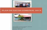 PLAN DE SALUD COMUNAL 2013 - trehuaco.comtrehuaco.com/zeta/Transparencia/PLAN DE SALUD.pdf · para una sala de procedimientos destinada para urgencia, procedimientos y tratamientos