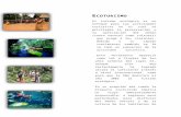 grupo04307.files.wordpress.com€¦ · Web viewEcoturismo. El turismo ecológico es un enfoque para las actividades turísticas en el cual se privilegia la preservación y la apreciación
