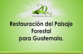 Restauración del Paisaje Forestal para Guatemala.reddlandscape.org/wp-content/uploads/2017/06/S1_06-Martir-Vasquez... · en el tiempo los bienes y servicios de los ecosistemas. Estrategia