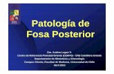 Patología fosa posterior - CERPO · Patología de Fosa Posterior Dra. Andrea Lagos V. Centro de Referencia Perinatal Oriente (CERPO) - CRS Cordillera Oriente Departamento de Obstetricia