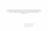ANÁLISIS DE RIESGO EN VIVIENDAS INFORMALES …biblioteca2.ucab.edu.ve/anexos/biblioteca/marc/texto/Febrero 2018... · anÁlisis de riesgo en viviendas informales de mamposterÍa