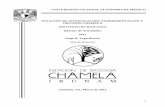 INFORME DE ACTIVIDADES 2011 - Instituto de Biología EBCh 2011.pdf · Informe de Actividades. 2011 . Jorge H. Vega Rivera. Jefe de Estación . Chamela, Jal., Marzo de 2012 . 2 . ...