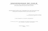 UNIVERSIDAD DE CHILE - Repositorio Académicorepositorio.uchile.cl/tesis/uchile/2005/toledo_l/sources/toledo_l.pdf · W. Shakespeare TORTUGAS Y CRONOPIOS Ahora pasa que las tortugas