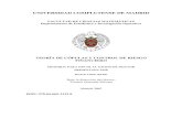 UNIVERSIDAD COMPLUTENSE DE MADRIDbiblioteca.ucm.es/tesis/mat/ucm-t29659.pdf · Ajuste no param´etrico de la c´opula bivariante DowJones & Ibex35 ... Medidas de riesgo para las distribuciones