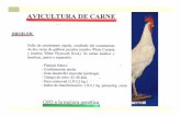 Aves - Universidad de Castilla · PROCESOS DE FAENADO EN EL MATADERO C O M E R CI ALIZ A CI ... RECOGIDA DE LOS POLLOS Se realiza normalmente la captura manual, pero existen unas