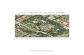 Arbres i palmeres del Parc de la Ciutadella - xarxa018xarxa018-1.edubcn.cat/fem/materialsaplec/arbresparcciutadella.pdf · Arbres i palmeres del Parc de la Ciutadella Material per