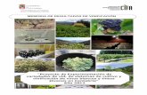 MEMORIA DE RESULTADOS DE VINIFICACI“N - proyecto vino 2012.pdf  de sistemas de cultivo y de vinificaci³n,