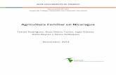 Agricultura Familiar en Nicaragua - RIMISPrimisp.org/wp-content/files_mf/1434662689151RodriguezAgricFamiliar... · Estratos de edades de los tipos de hogares de la agricultura familiar