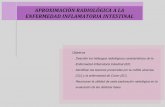 APROXIMACIÓN RADIOLÓGICA A LA …seram2010.seram.es/modules/posters/files/eii_poster_oficial.pdf · Caracteristicas radiológicas - Enfermedad de Crohn Ulceras aftoides - Resultado
