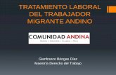TRATAMIENTO LABORAL DEL TRABAJADOR …€¦ · Derechos y deberes contenidos en la legislación nacional Comoquiera que el trabajador migrante andino va a realizar una actividad laboral