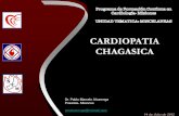 CARDIOPATIA CHAGASICA - Federación Argentina de ... · NORMALES (ECG- Rx Tx PEG- Holter - ECO Cardio) 4. Aparato digestivo normal (estudios complementarios digestivos según criterio