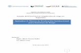 Apéndice 2: Matriz de Evaluación Institucional para ... · 1 PROSAP-UTF/ARG/017/ARG “Desarrollo Institucional para la Inversión” Estudio del Potencial de Ampliación de riego