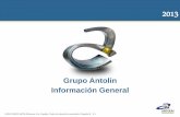 Grupo Antolin Información General - itemsweb.esade.eduitemsweb.esade.edu/research/esadegeo/MHAntolin.pdf · 3 Información comercial Grupo Antolin ocupa el puesto 56 entre los proveedores