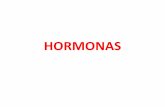 HORMONAS - ecaths1.s3.amazonaws.comecaths1.s3.amazonaws.com/quimicaorganicafaz... · lo cual los receptores para estas hormonas se hallan en la superficie celular. Son hidrofílicas
