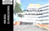 REVISTA JUDICIAL - jusformosa.gob.ar · Será responsabilidad del Juez de Audiencias Dr. Rubén Antonio Spessot resolver los casos que han sido seleccionados para las audiencias a