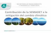 Contribución de la SEMADET a la mitigación del … · Plan de Gestión de Carbono ... Los principios de la política ambiental estatal y municipal en materia de cambio climático.