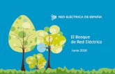 El Bosque de Red Eléctrica - ree.es · directriz de nuestra gestión empresarial. Entre los ... municipal de Ejulve, con la plantación de 10.000 encinas truferas en 10 hectáreas.