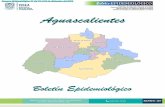 Dirección de Atención Primaria a la Salud Dirección del … Epidemiologia/2017/Seman… · Enfermedad Cerebrovascular I60-I67, I69 6 419 3 521 Enfermedad de Alzheimer G30 - 18