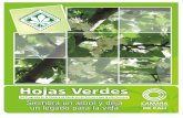 plegable hojas verdes 2010 - La CCCccc.org.co/wp-content/uploads/2011/03/plegable-hojas-verdes-2010.pdf · Jose Heli Quintero Martinez ... Maria Mejia De Rojas Nidia Cerezo De Estrada