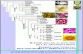 Introducción a las Angiospermas - exa.unne.edu.ar a las Angiospermas... · naturaleza, por lo que todos sus grupos estaban interconectados y los vacíos existentes entre ellos se