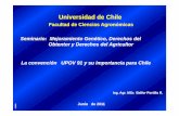 Universidad de ChileUniversidad de Chile · CONTENIDO ¾Derechos del Obtentor en el contexto de la Derechos del Obtentor en el contexto de la PIPI ¾Innovación Tecnológgy pica y