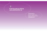 Orientación anatómica - Editorial Paidotribo: Libros de ... · 8 El libro conciso del cuerpo en movimiento Direcciones anatómicas Para describir la posición relativa de las partes