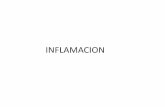 INFLAMACION - bioeduciencias.files.wordpress.com · Inflamación Aguda: Cronodinamia (respuesta vascular) ... Cuando sucede en el tejido conjuntivo, se diferencia de la inflamación