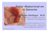 Dolor Abdominal en el Geronte · transmite por los nervios periféricos hasta llegar ... del Haz espinotalámico lateral. ... El cólico biliar es un dolor referido.