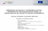 EMPRESAS SOCIALES Y ECONOMÍA SOCIAL: … · empresas sociales y economÍa social: propuestas metodolÓgicas para la mediciÓn de su impacto socio-econÓmico social economy category