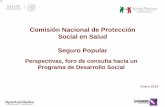 Comisión Nacional de Protección Social en Salud … · Eficiencia del Sistema de ... seleccionadas en forma prioritaria según criterios de seguridad, eficacia ... ha disminuido
