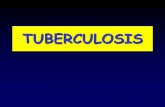 Sin título de diapositiva - Grupo de Infecciosas … · Mantoux PRUEBA DE LA ... Sin infección tuberculosa previa nada vasodilatación y edema eritema ¿ QUÉ ES ? Es una reacción