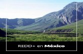 REDD+ en México - gob.mx · Índice REDD+ en México Marco legal REDD+ Arreglos Institucionales REDD+ Comisión Intersectorial de Cambio Climático (CICC) Comisión Intersecretarial