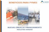 BENEFICIOS PARA PYMES - caem.com.ar · Estos beneficios abarcan tanto a las empresas propiamente mineras, así como a sus proveedores y empresas de servicio, a ... Las Pymes que se