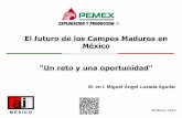 El futuro de los Campos Maduros en México - ai.org.mx · El futuro de los Campos Maduros en México “Un reto y una oportunidad" 26 Marzo, 2014 M. en I. Miguel Ángel Lozada Aguilar
