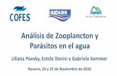 Análisis de Zooplancton y Parásitos en el agua - Cofes · Importancia del zooplancton Son relevantes en la cadena trófica Importantes como conductores en el flujo de energía de