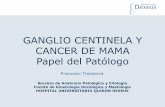GANGLIO CENTINELA Y CANCER DE MAMA Papel … · ... 7/45 (16%) Sobre todo en lobulillares ... con ganglio centinela 63/90 (70%) Incidencia de micrometástasis en 4 años sin ... días