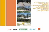 Producción de bioetanol, biogás y biofertilizantes ...snvla.org/mm/file/HN SNV05 - Bioetanol v7 Centroamerica.pdf · Equipo de Sistematización: ... prácticas del proceso, clasificándolas