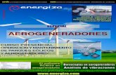 Energiza Febrero 2013 - renovetec.com · Análisis comparativo de los diferentes aerogeneradores que componen un parque 5. ... mercado y la rebaja de costes que implica la ... dirse