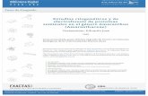 Estudios citogenéticos y de electroforesis de proteínas ...digital.bl.fcen.uba.ar/download/tesis/tesis_n2753_Greizerstein.pdf · seminales en el género Amaranthus (Amaranthaceae).