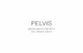 pelvis - medicinaeutm.com€¦ · Pelvis • Se encuentra en el sector inferior del tronco, comunica libremente con el retro-peritoneo (abdominal). • Paredes de la cavidad pelviana: