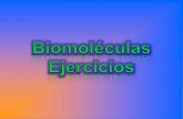 Diapositiva 1 - I.E.S "POETA CLAUDIO RODRÍGUEZ"iespoetaclaudio.centros.educa.jcyl.es/sitio/upload/biomoleculas... · Respuesta El átomo de carbono tiene hibridación tetraédrica