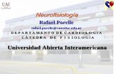 Universidad Abierta Interamericana - Dr. RAFAEL … · (Función sensorial somática) Las neuronas reticulares ejercen cierto control sobre la ... a diferentes partes de la corteza