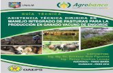 CONTENIDO - Agrobanco · 5.4.3. LOTE 3: Vacas Secas, Vaquillas y Vaquillonas 24.5 ... 23 ... VI. GRAMINEAS DISPONIBLES EN EL MERCADO ... con fungicidas (contra hongos) como el rimodil