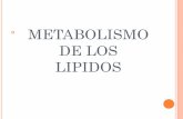 METABOLISMO DE LOS LIPIDOS - | Dr. Alejandro … · LIPOPROTEÍNAS Responsables del transporte de los lipidos en el plasma. Son macromoléculas complejas y esféricas formadas por