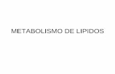 METABOLISMO DE LIPIDOS - Profesora Maribel … · Funciones de los lípidos •fuente de energía (almacenaje) •componentes estructurales de membranas •fuente de ácidos grasos