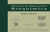 Revista de Educación Bioquímica - facmed.unam.mx1... · en la sangre de los niños con el incremento en los niveles de plomo en el agua y no se encontró co-rrelación con la actividad