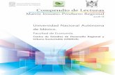 Matriz Insumo-Producto · PDF fileMatriz de contabilidad social y análisis estructural de una ... un enfoque de insumo-producto Región y ... “Apertura comercial y desempeño de