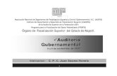 9 Auditoría Gubernamental - Auditoría Superior del ... · Objetivo General del Curso • Las Normas, Tipos y Técnicas de ... municipal, así como de los programas ... Financiera