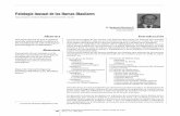 Patología Inusual de los Huesos Maxilaressociedadradiologiaoral.cl/doc/anuarios_div/2005/anuario2005-11-22.pdf · 10 ANUARIO SOCIEDAD DE RADIOLOGIA ORAL Y MAXILO FACIAL DE CHILE